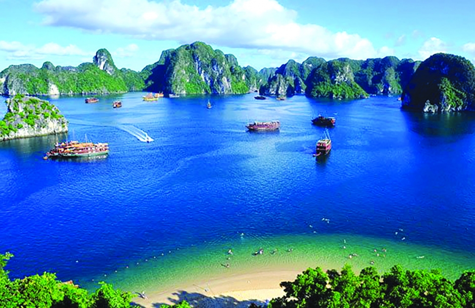 ha long -tinmoitruong 