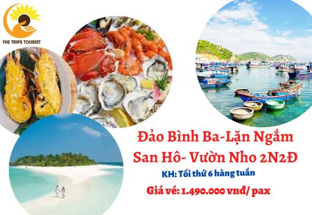 TOUR BÌNH BA- VƯƠNG QUỐC TÔM HÙM- LẶN NGẮM SAN HÔ- VƯỜN NHO 2N2Đ