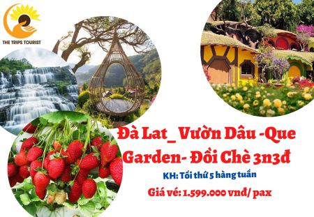 TOUR ĐÀ LẠT-VƯỜN DÂU- QUE GARDEN- ĐỒI CHÈ 3N3Đ