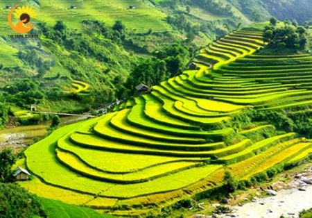 TOUR HÀ NỘI_ YÊN TỬ- SAPA_ HẠ LONG 4N4Đ