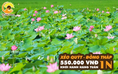 TOUR ĐỒNG THÁP MÙA NƯỚC NỔI - GÁO GIỒNG- CHÙA LÁ SEN 1 NGÀY 